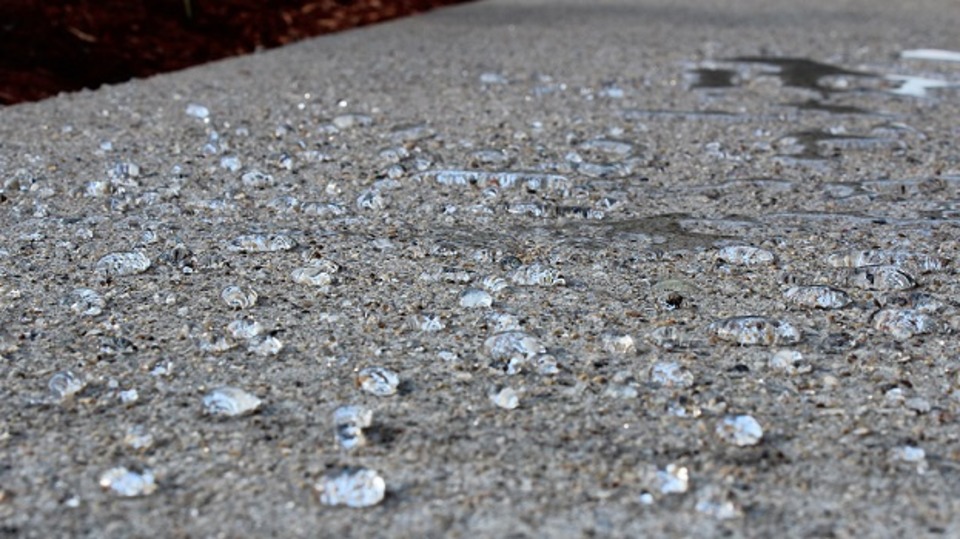 Учёные СПбГАСУ изобрели новый способ для определения водонепроницаемости бетона
