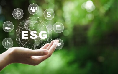 Зеленая заповедь: как ESG-доктрина заставляет повернуться лицом к природе и человеку